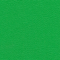 Зеленая (код: 510)